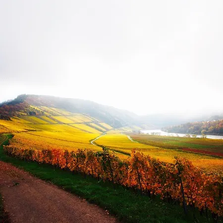 Bed & Breakfast Gastehaus Weingut Arns