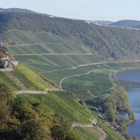 Gastehaus Weingut Arns * Reil