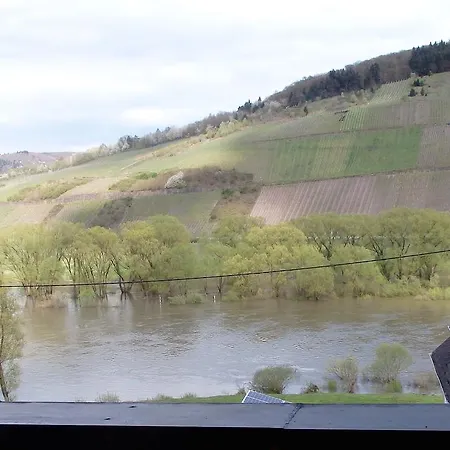 Gastehaus Weingut Arns Bed & Breakfast *