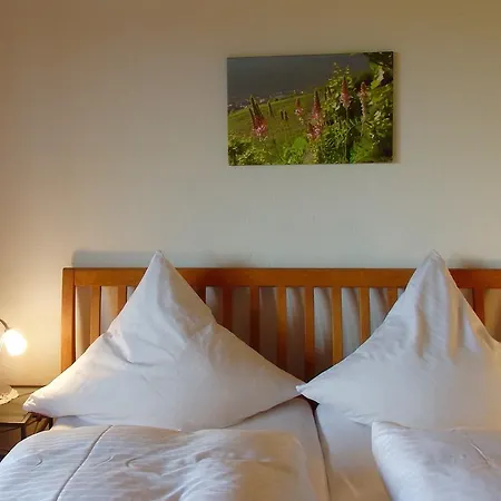 Gastehaus Weingut Arns Bed & Breakfast *