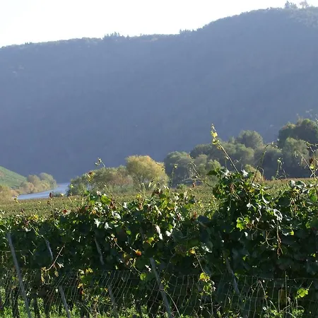 Nocleg ze śniadaniem Gastehaus Weingut Arns Reil