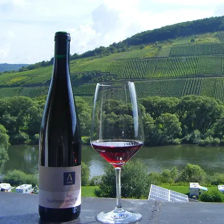 Nocleg ze śniadaniem Gastehaus Weingut Arns