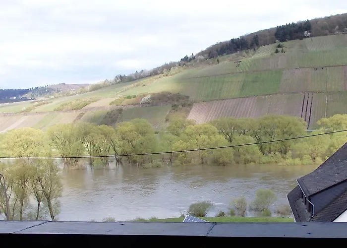 Gastehaus Weingut Arns Bed & Breakfast *