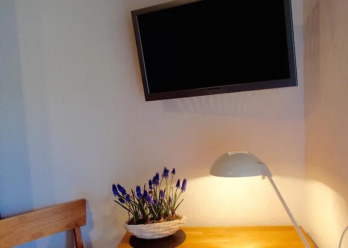 Gastehaus Weingut Arns Reil